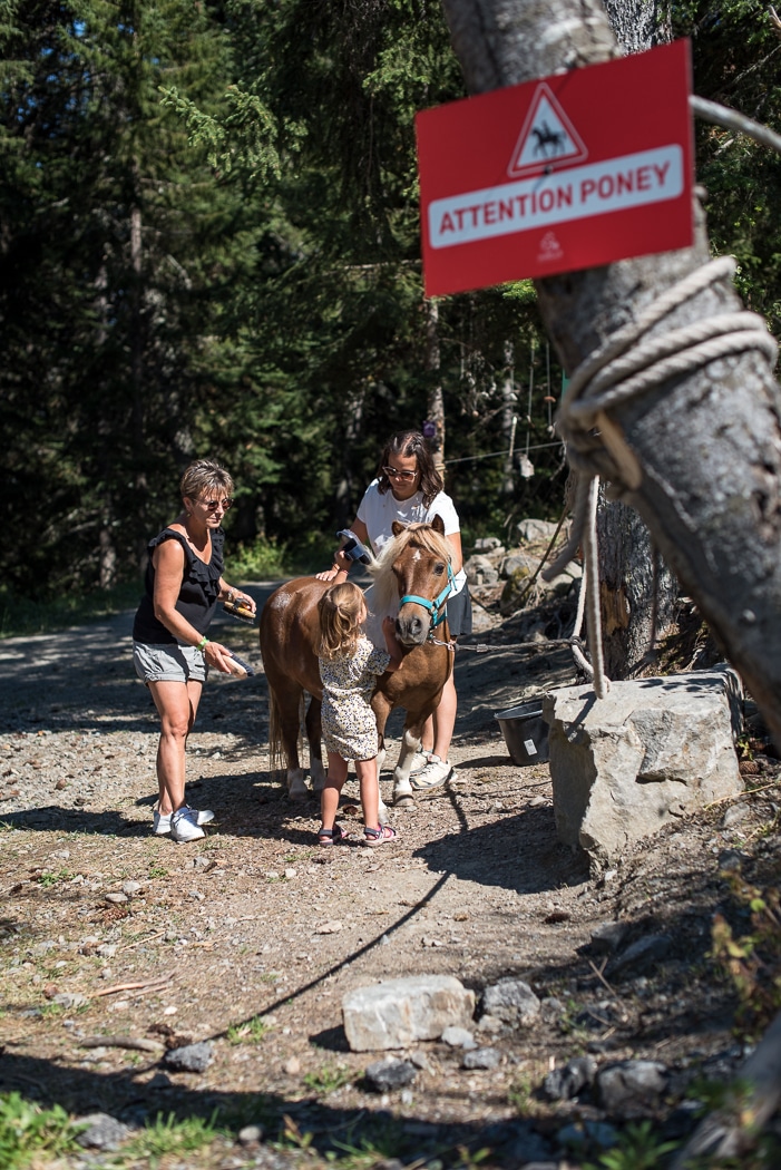 Balade à poney aux Karellis